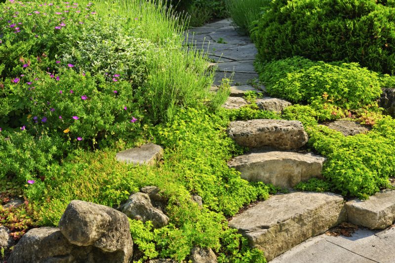 Restored Stone Walkway